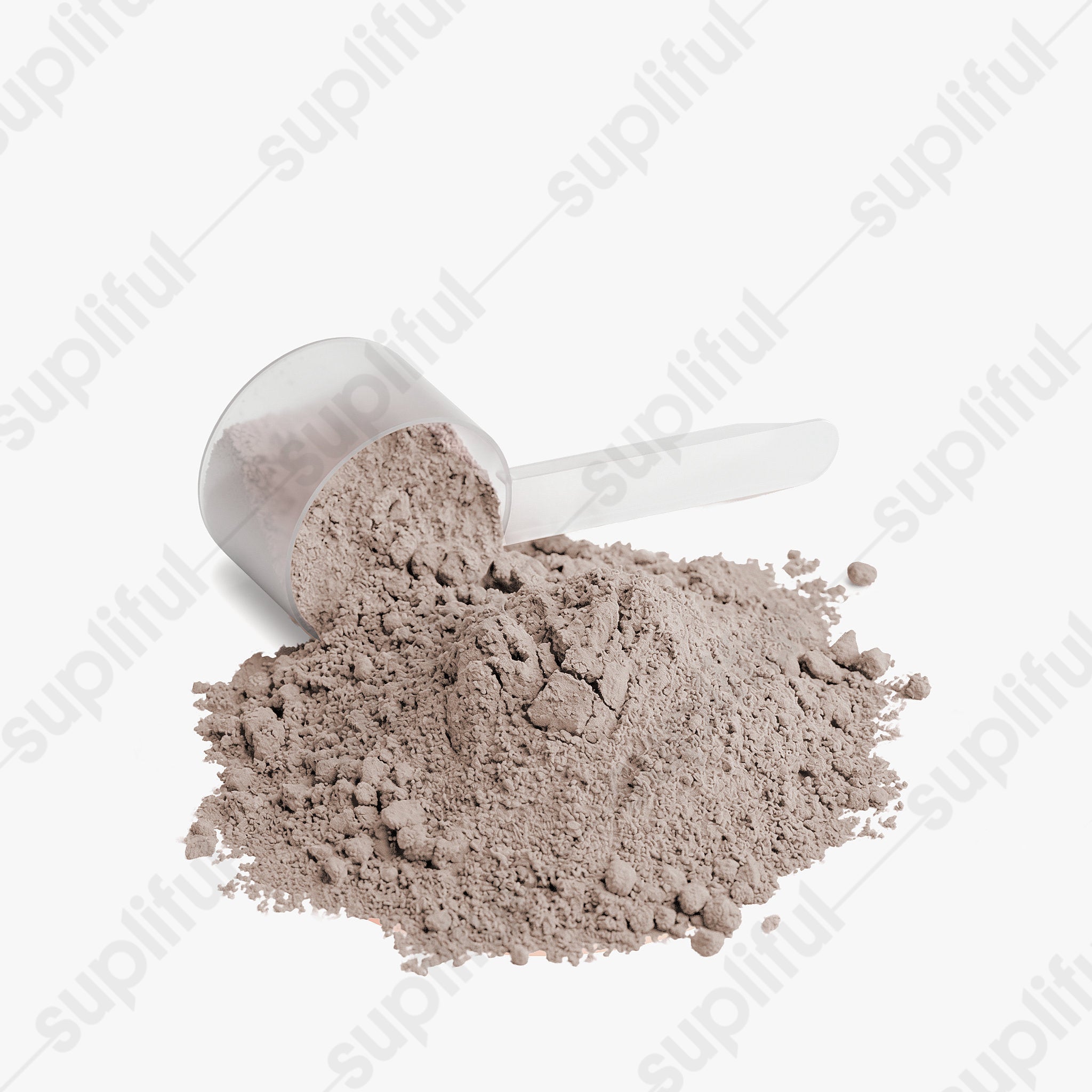 Advanced 100% Whey Protein Isolate (Chocolate)